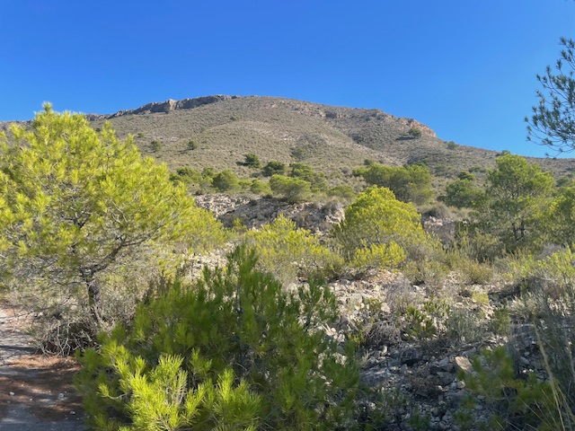 Schermafbeelding 2013 10 16 om 07.25.57