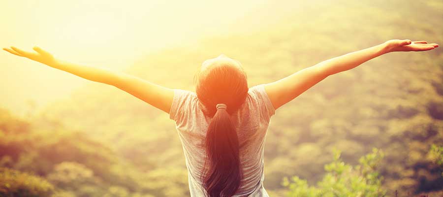 Nine Star Ki karakteranalyse test